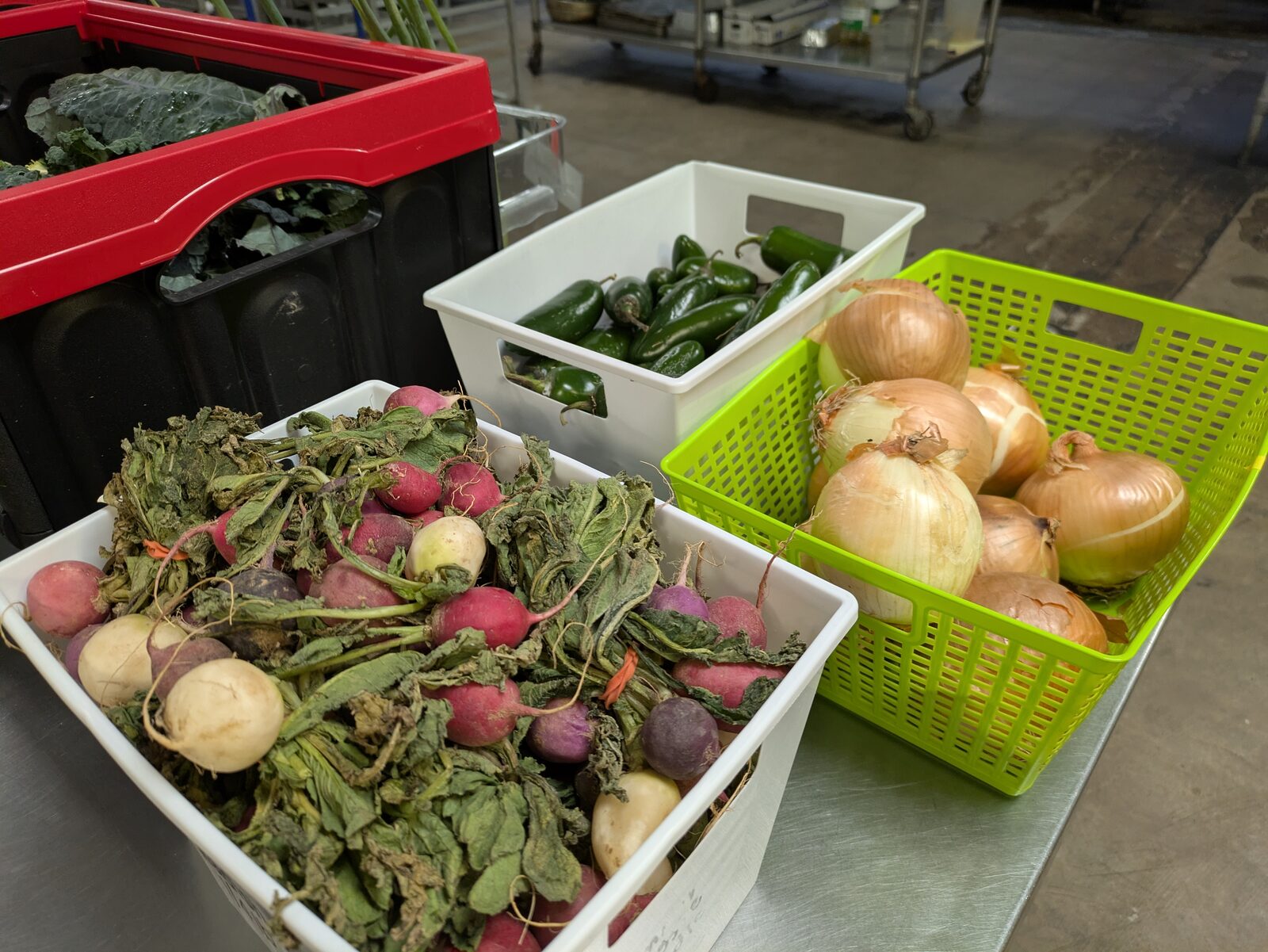 Rescued produce becomes shelf-stable meals